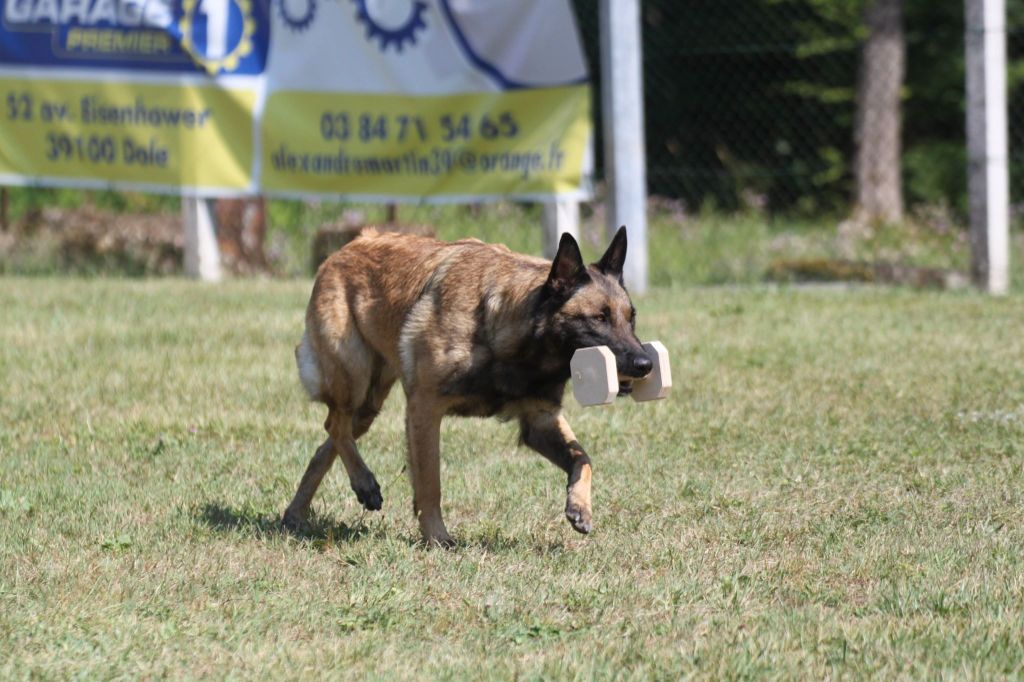 Linka du domaine de Seugidor